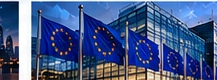 Global AI law and regulation